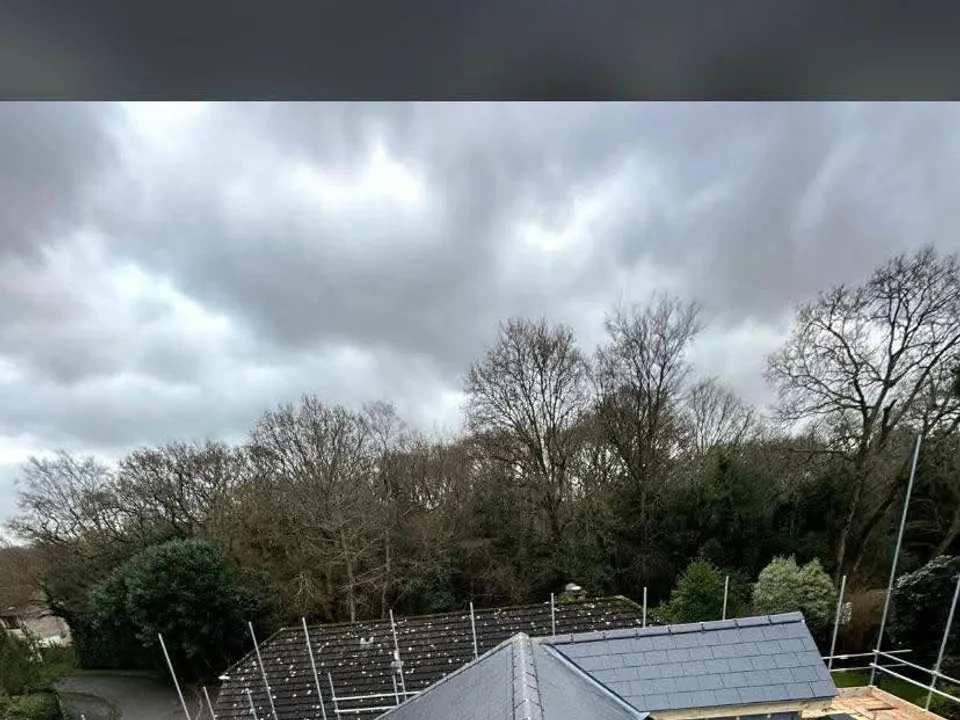 Newly finished grey flat roof section with mature trees behind
